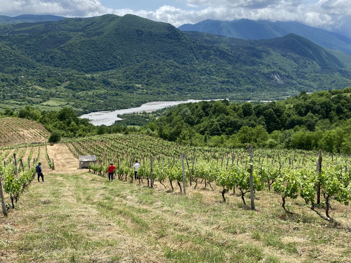 ვილა ჩვენის ისტორია: ტრადიციასა და სიყვარულზე დაფუძნებული მოგზაურობა